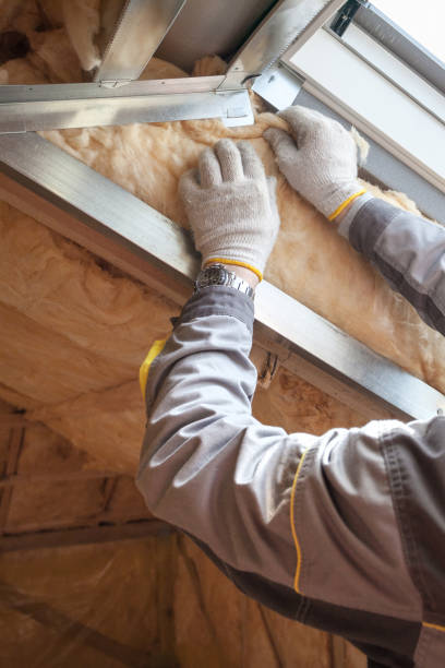 Best Local Insulation Services  in , MI