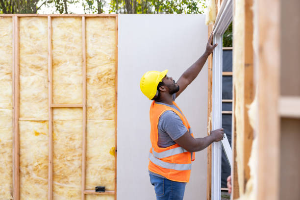 Best Residential Insulation Services  in , MI