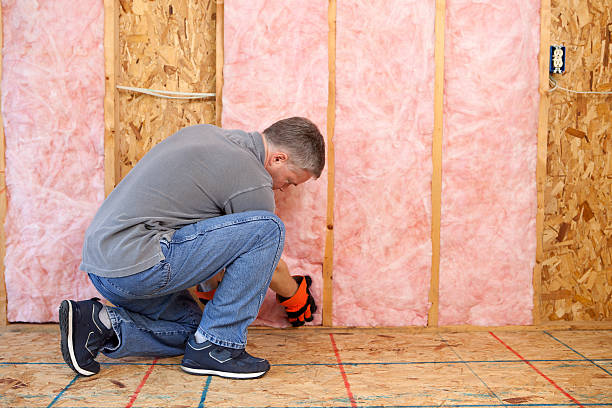 Best Professional Insulation Contractor  in , MI